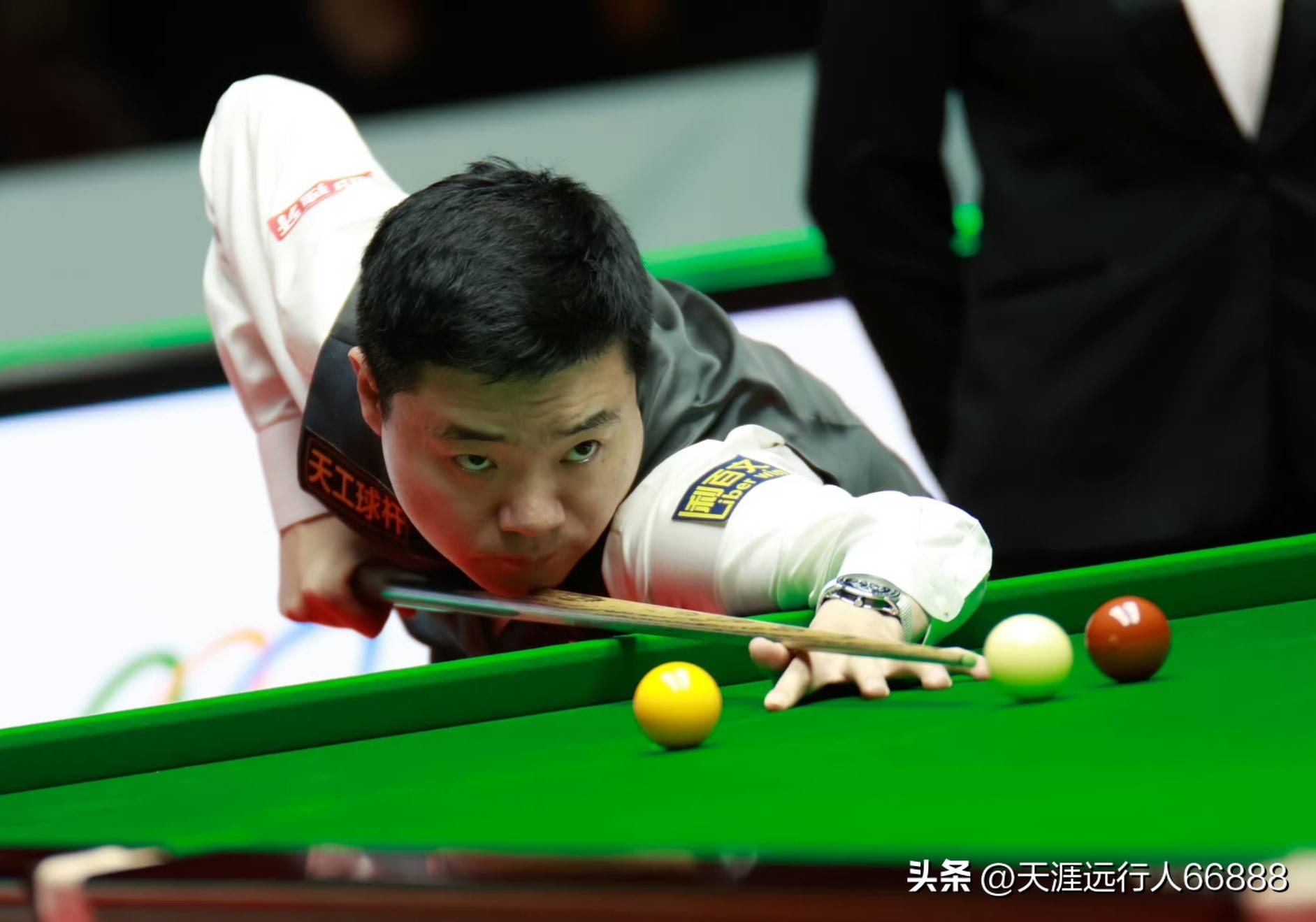 在本场展露 在本场展露